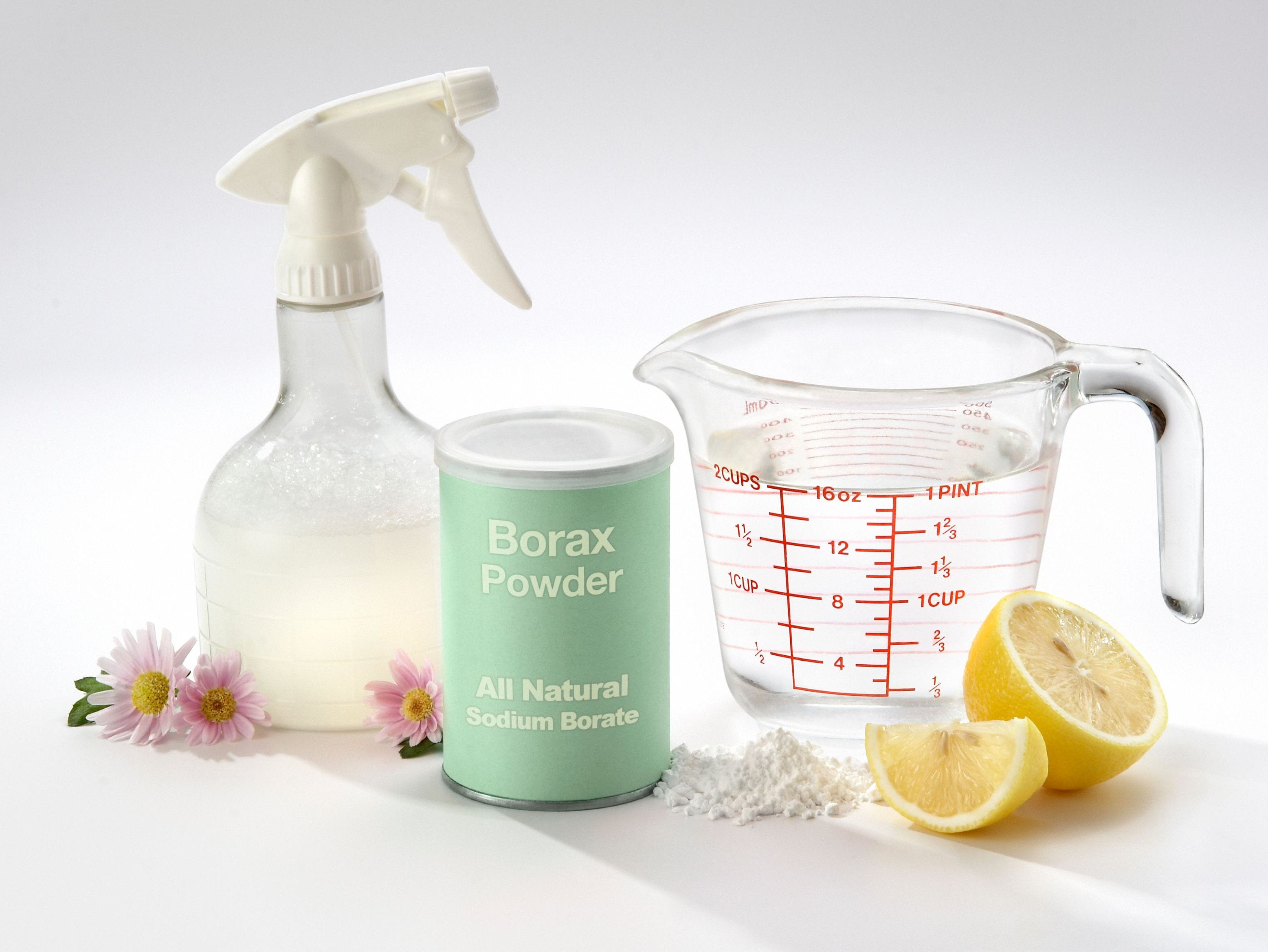 borax powder and cleaning supplies