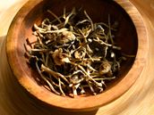 Tripping on shrooms: What does the science tell us?