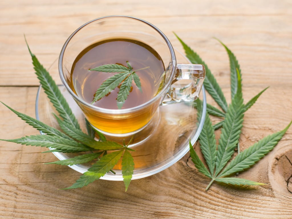cannabis tea with cannabis leaves