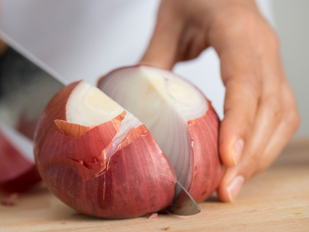 close up of person chopping an onion close up of person chopping an onion