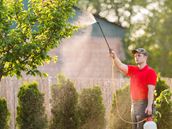 Imidacloprid Insecticide