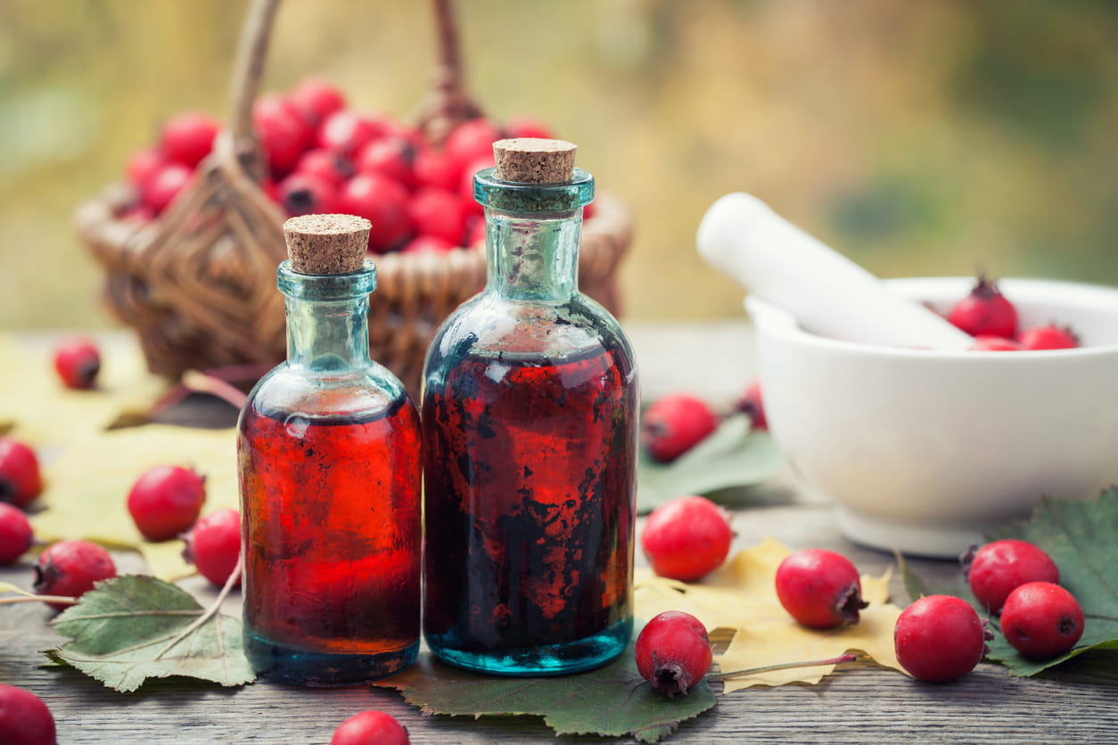 hawthorn berries and tincture 