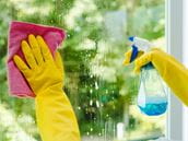 Is Windex Toxic?