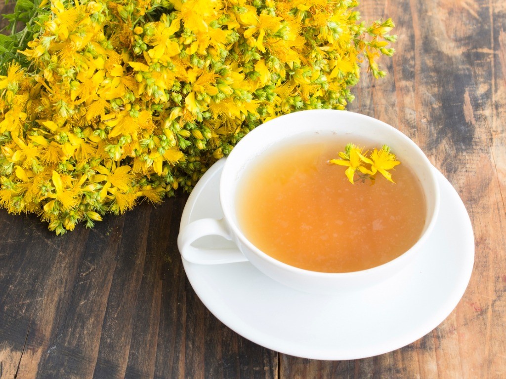 st. john's wort tea with flowers