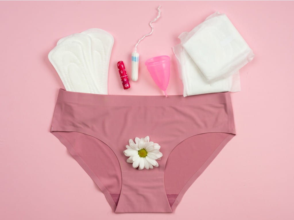 underwear with menstrual period products
