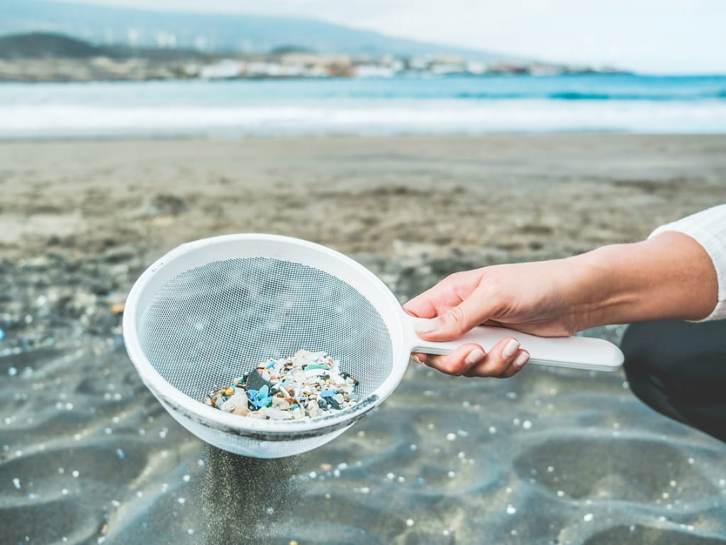 young woman using a net to clean microplastics from the ocean